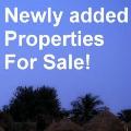 Newly added listings