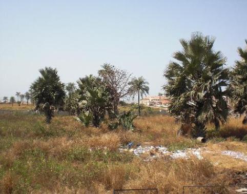 Property For Sale Sanyang Gambia Property For Sale Sanyang Gambia