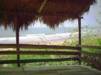 Grass hut overlooking beach