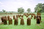 Wassu Stone Circles in field