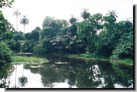 Abuko Nature Gambia