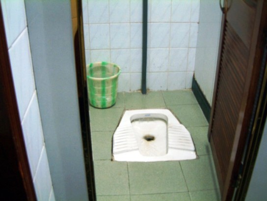 Toilets, Pits, Latrines: How People Use The Bathroom Around The