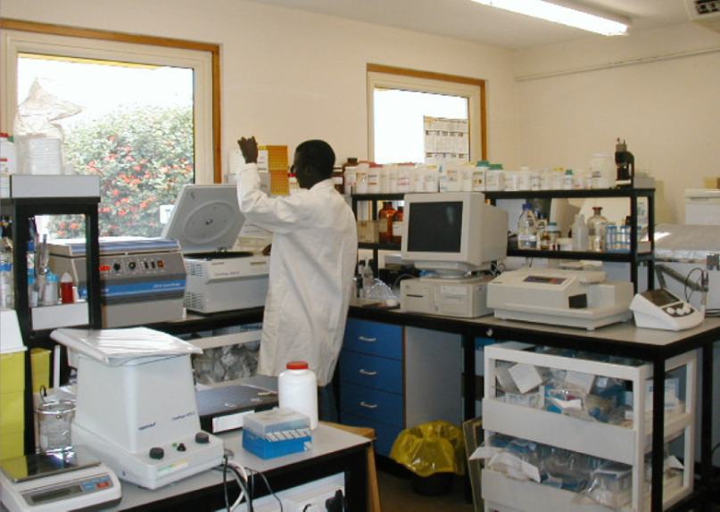 medical research council unit the gambia