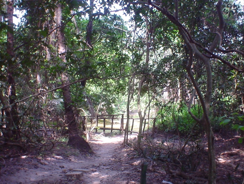 honning Konkret ensidigt Abuko Nature Reserve, Gambia