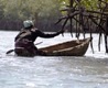 Oyster picking