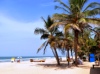 Tropical beach and palms