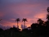 Sunset in Gambia