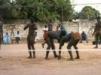 Jola wrestlers at local stadium