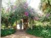 Bakau Botanical Gardens