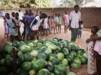 Children near melons