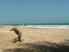 Beach scene