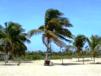 Deserted beach area