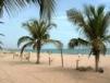 Sanyang beach and palm trees